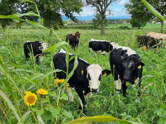 Agroécologie