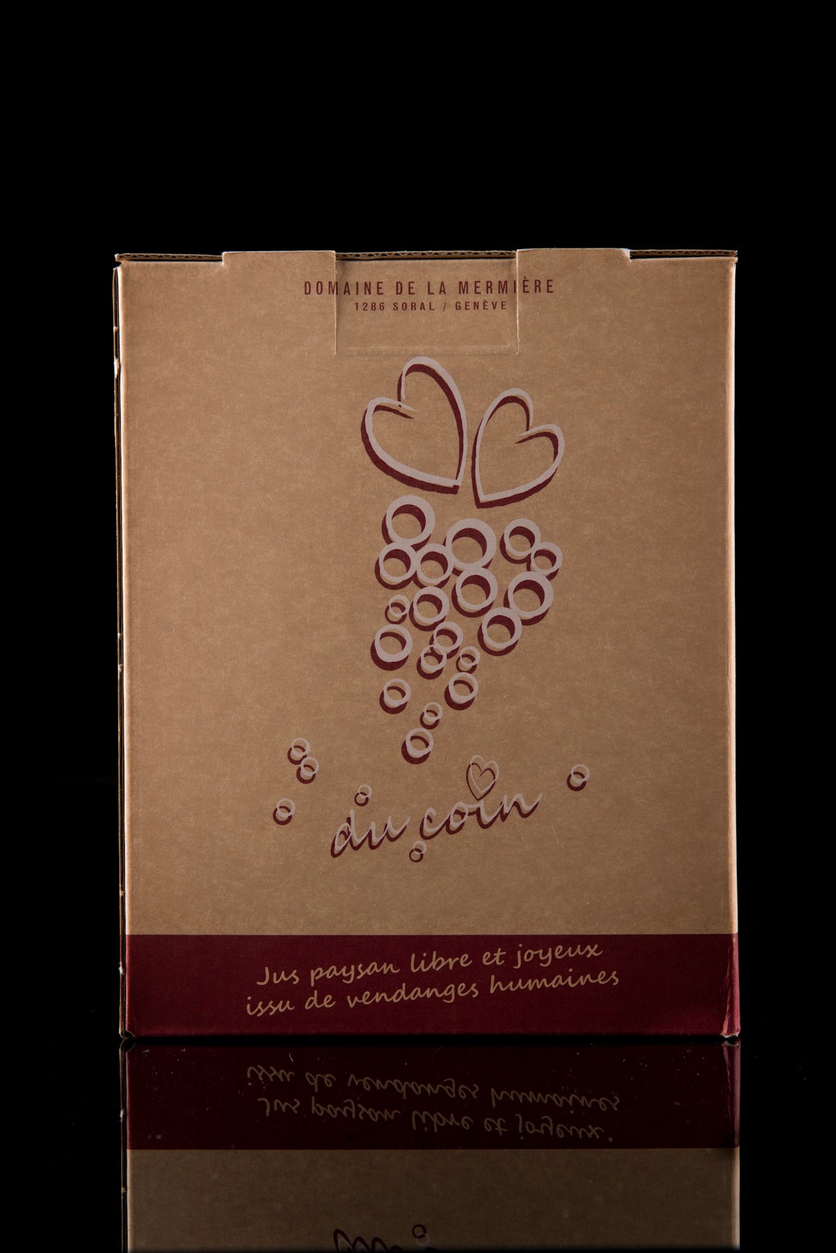 Jus de Raisin bio 3L