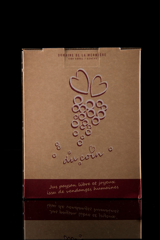 Jus de Raisin bio 3L